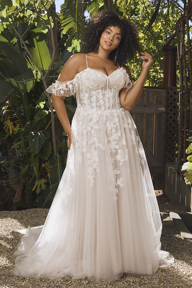 Beloved by Casablanca Trunk Show Main Image