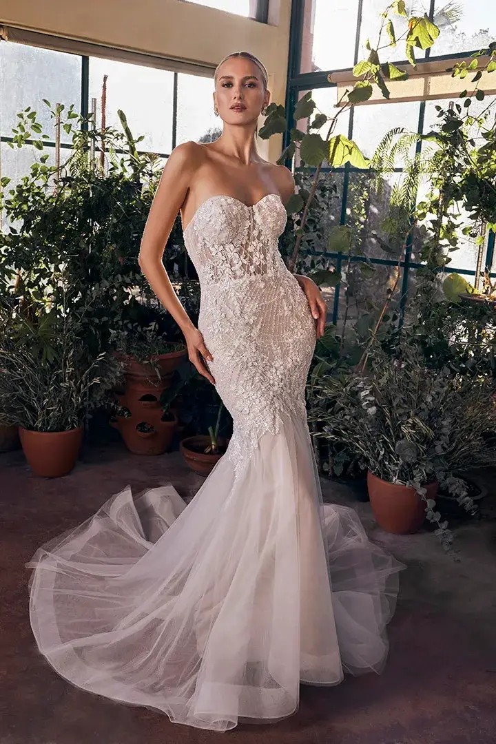 Photo of the gown by Casablanca