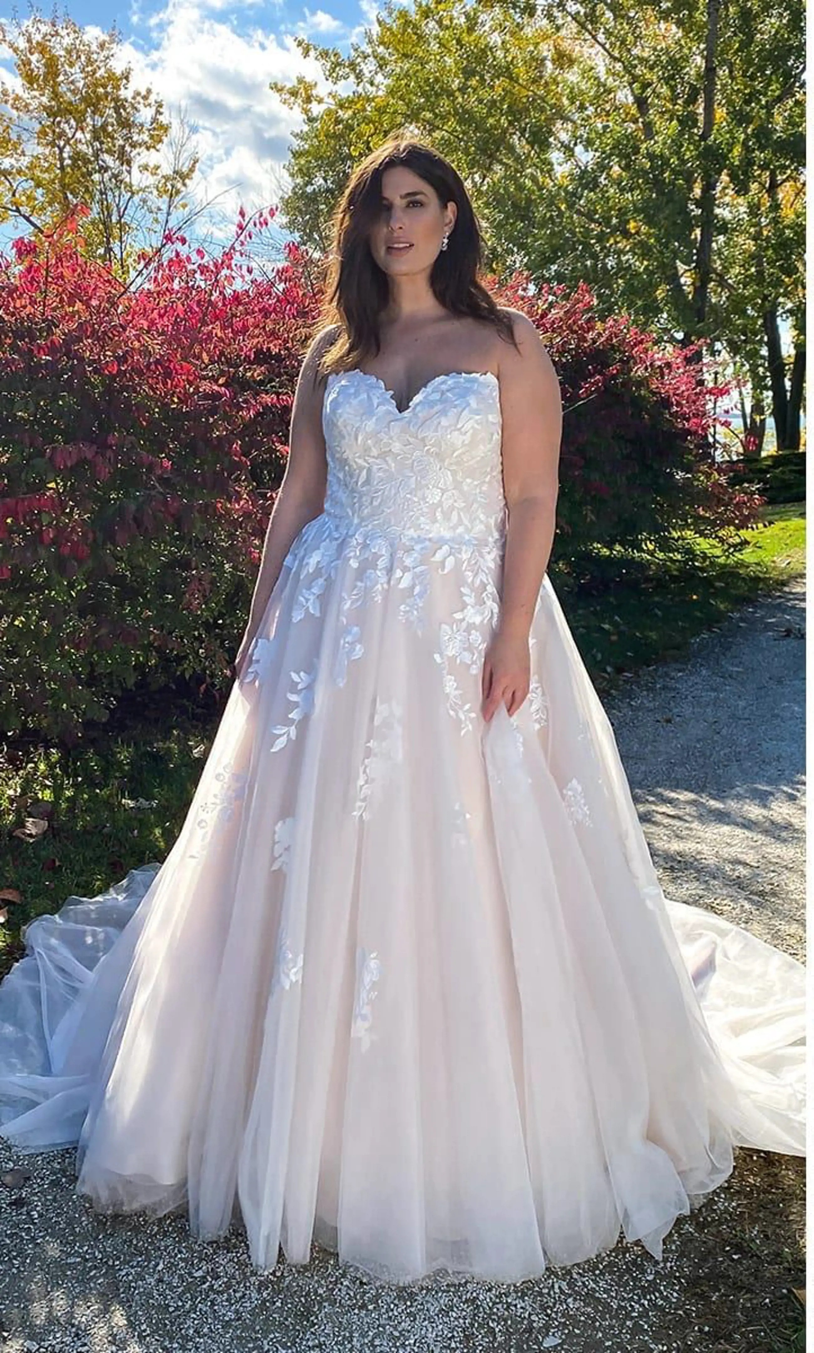 Photo of the gown by Eddy K Curvy