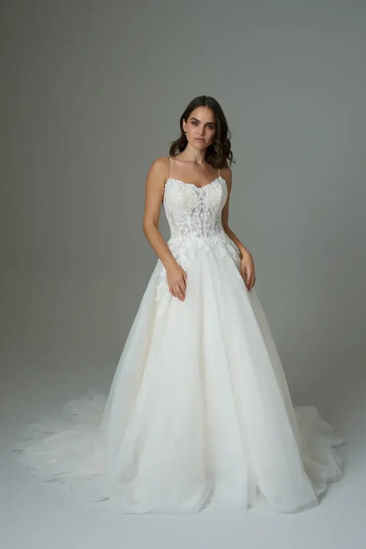 Photo of the gown by Kenneth Winston