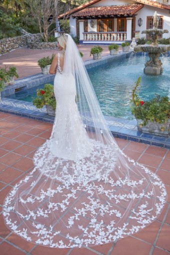 BeLoved by Casablanca Blakelyn Style #BL367 #2 Silver Blush/Nude/Ivory thumbnail