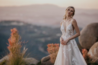 Allure Bridals ABL7611A Style #A1167L #9 Ivory/Nude thumbnail